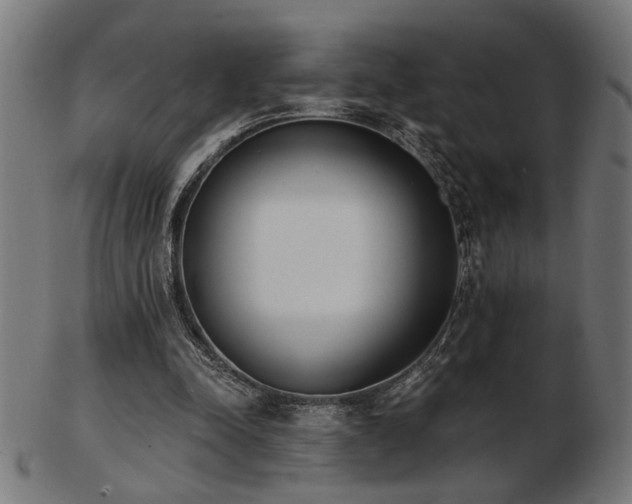 X0000103470342200809121633