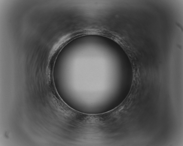 X0000103470343200809121633