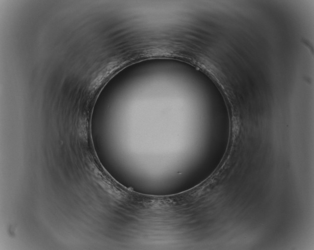 X0000103470345200809121633