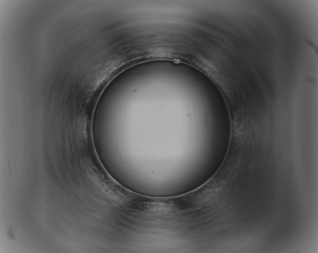 X0000103470347200809121633