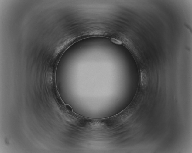 X0000103470348200809121633