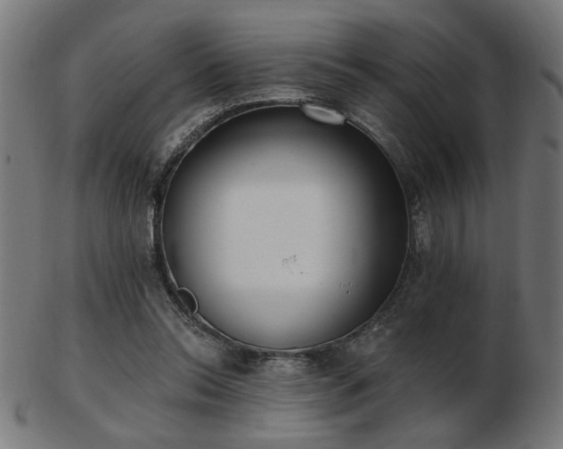 X0000103470350200809121633