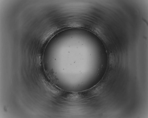 X0000103470351200809121633