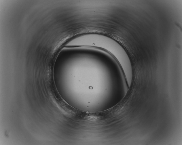 X0000103470352200809121633