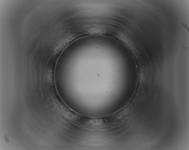 X0000103470353200809121633