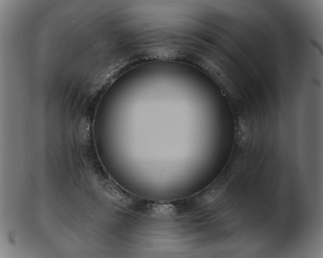 X0000103470355200809121633