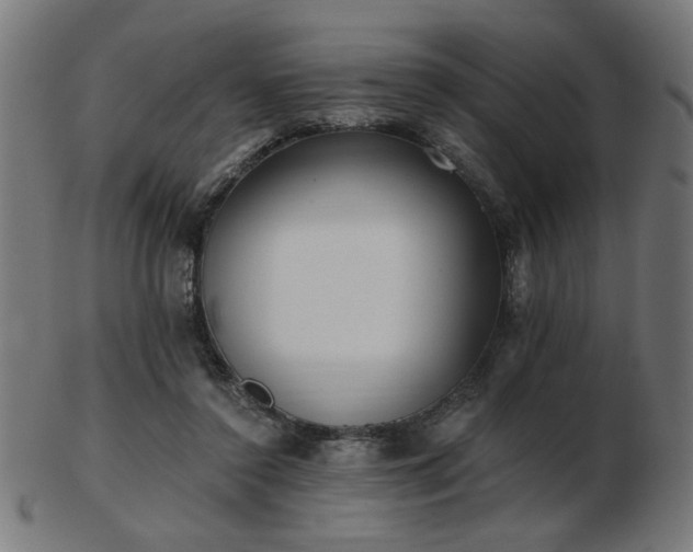 X0000103470356200809121633