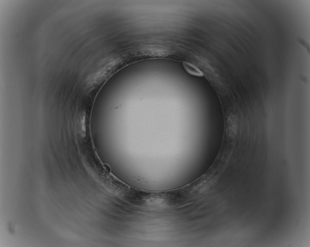 X0000103470358200809121633