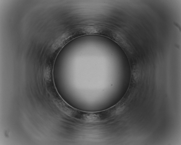 X0000103470359200809121633