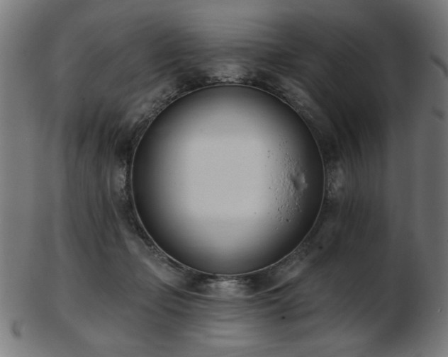 X0000103470365200809121633