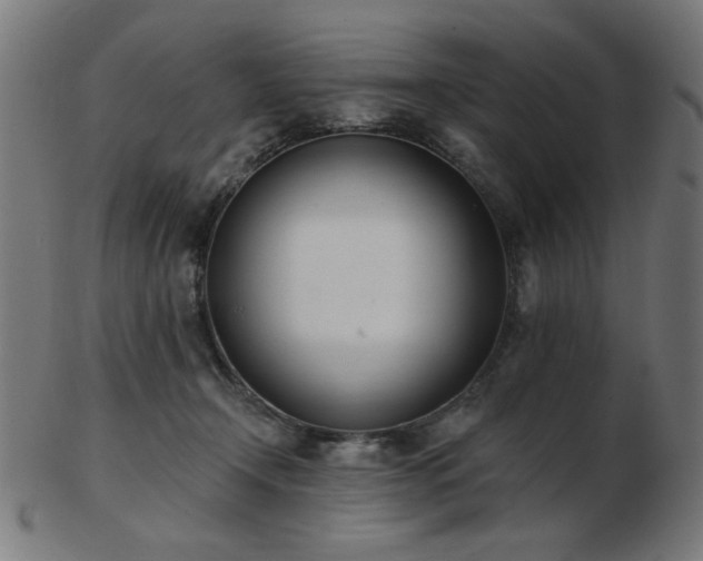 X0000103470366200809121633