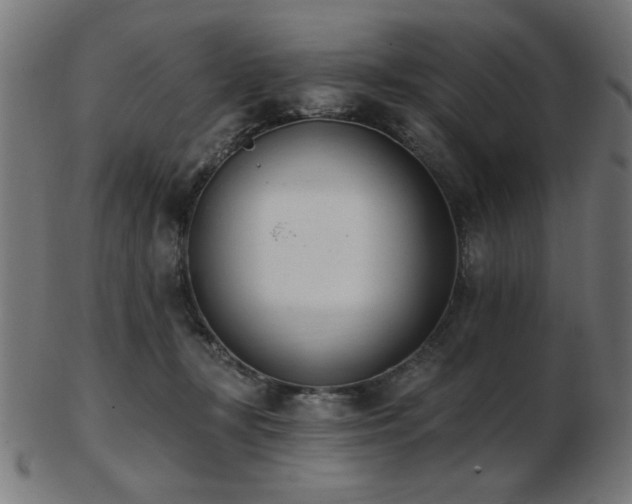 X0000103470367200809121633