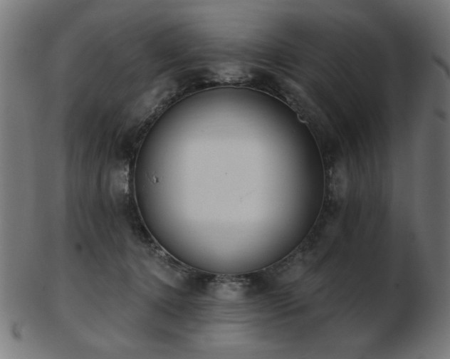 X0000103470368200809121633