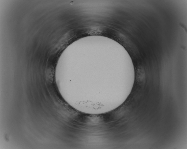 X0000103470370200809121633