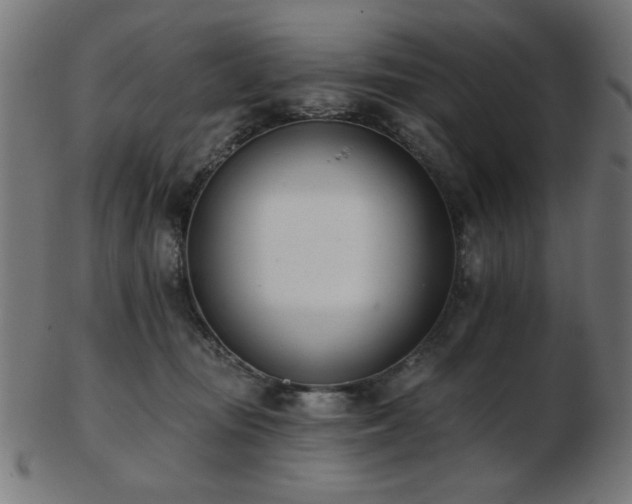 X0000103470371200809121633