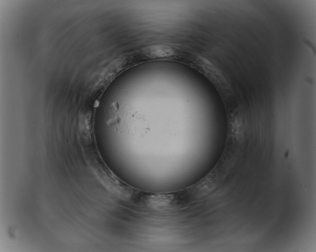 X0000103470373200809121633