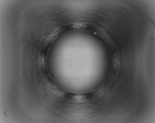 X0000103470375200809121633