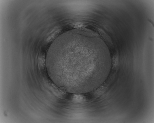 X0000103470376200809121633