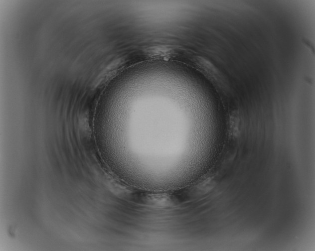 X0000103470377200809121633