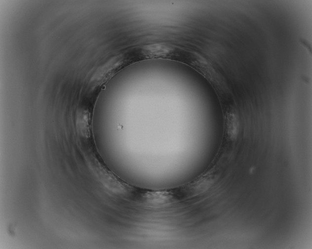 X0000103470378200809121633