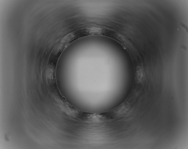 X0000103470379200809121633