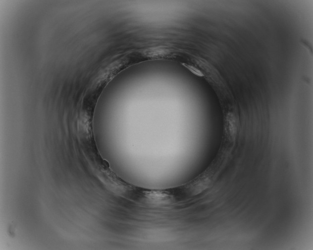 X0000103470380200809121633