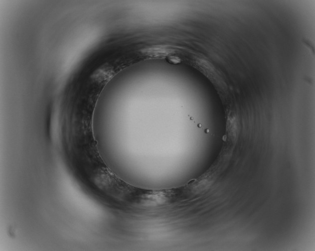 X0000103470381200809121633