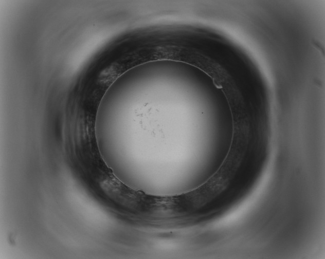 X0000103470382200809121633