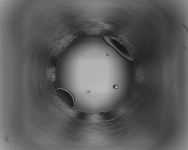 X0000103470383200809121633