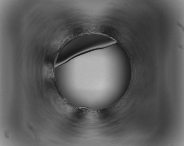 X0000103470384200809121633