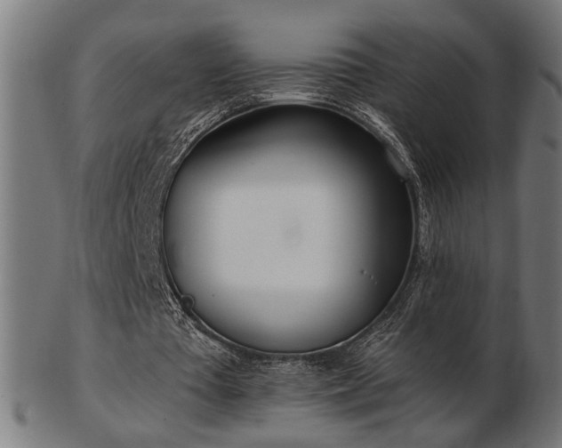 X0000103470385200809121633