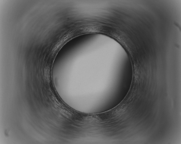 X0000103470386200809121633