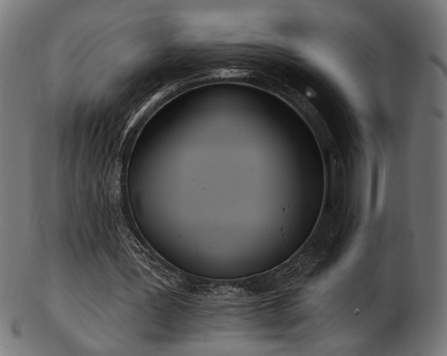 X0000103470387200809121633