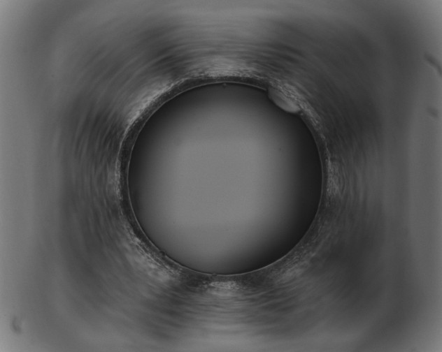 X0000103470391200809121633