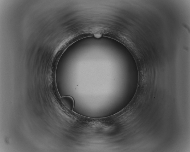 X0000103470392200809121633