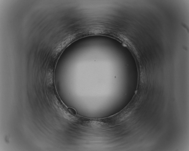 X0000103470393200809121632