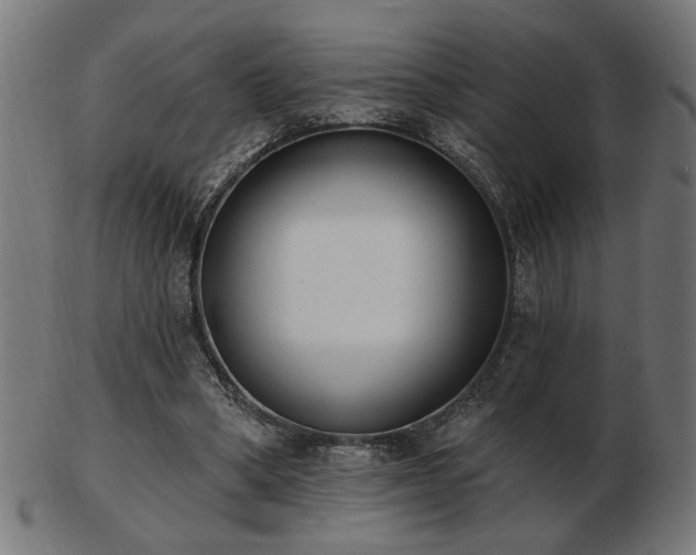 X0000103470394200809121632