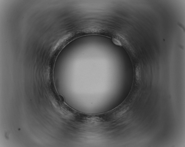 X0000103470396200809121632