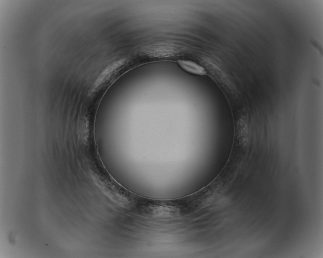 X0000103470400200809121632