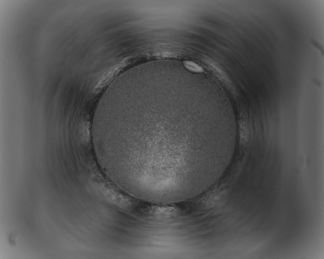 X0000103470401200809121632