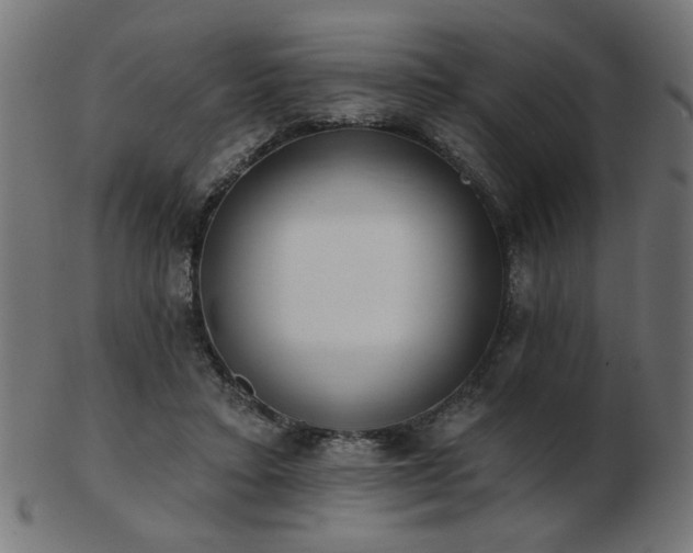 X0000103470403200809121632