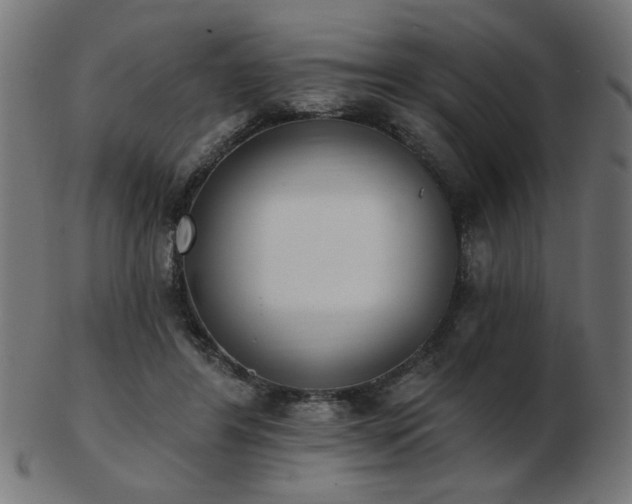 X0000103470404200809121632