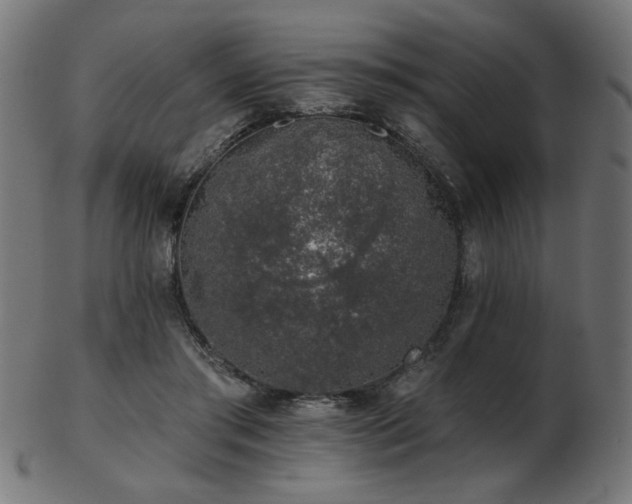 X0000103470405200809121632