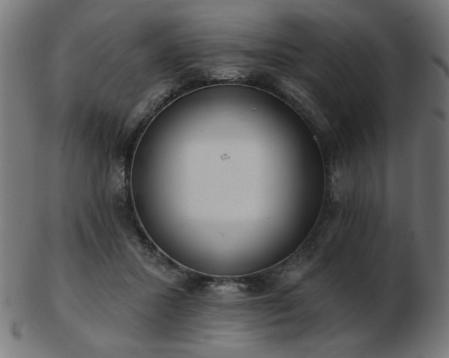 X0000103470407200809121632