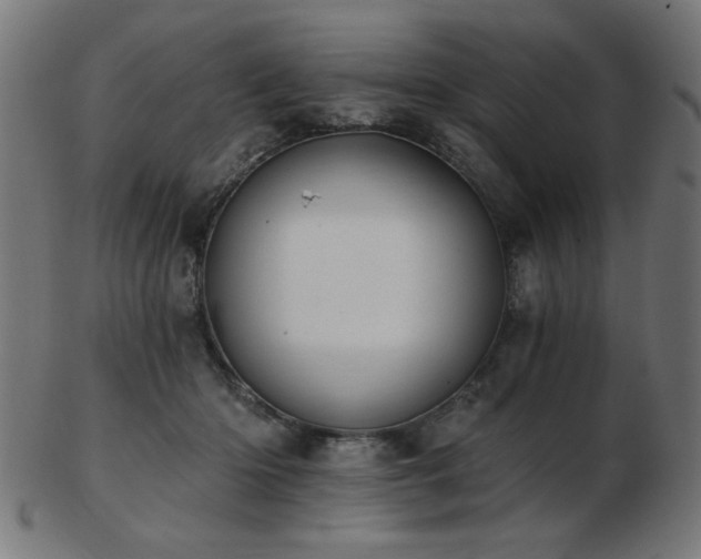 X0000103470414200809121632