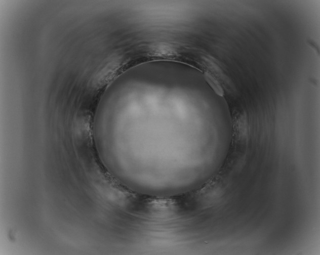 X0000103470415200809121632