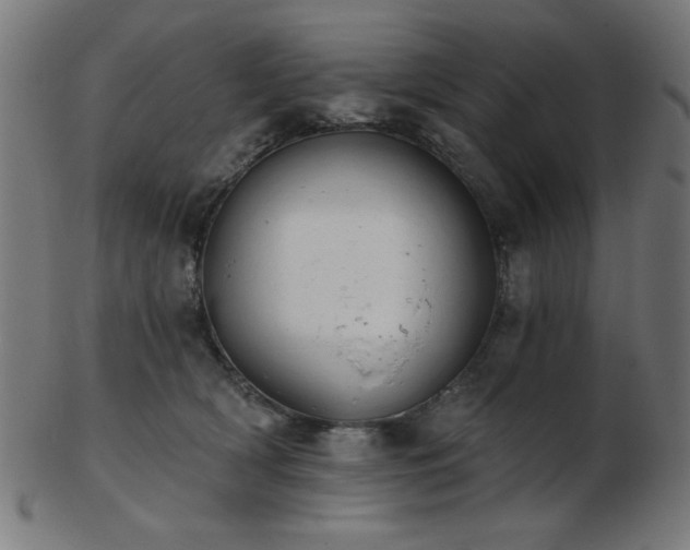 X0000103470418200809121632