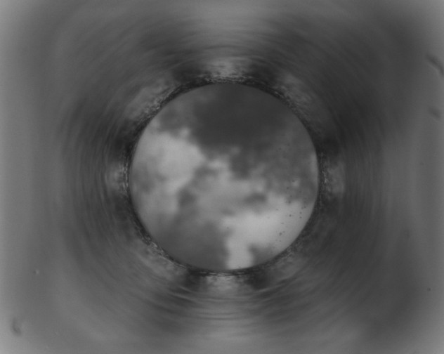 X0000103470419200809121632