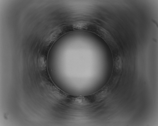 X0000103470420200809121632