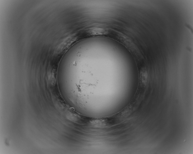 X0000103470422200809121632